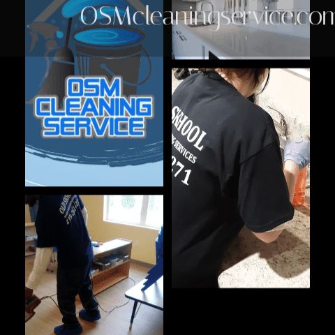 Old Skhool Maids and Cleaning Service LLC