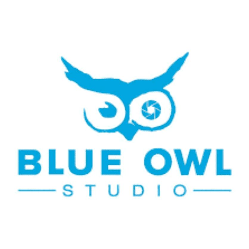 Blue Owl Studio