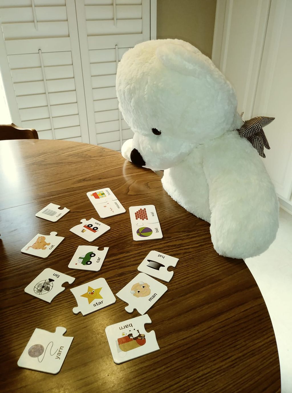 Bear playing matching game