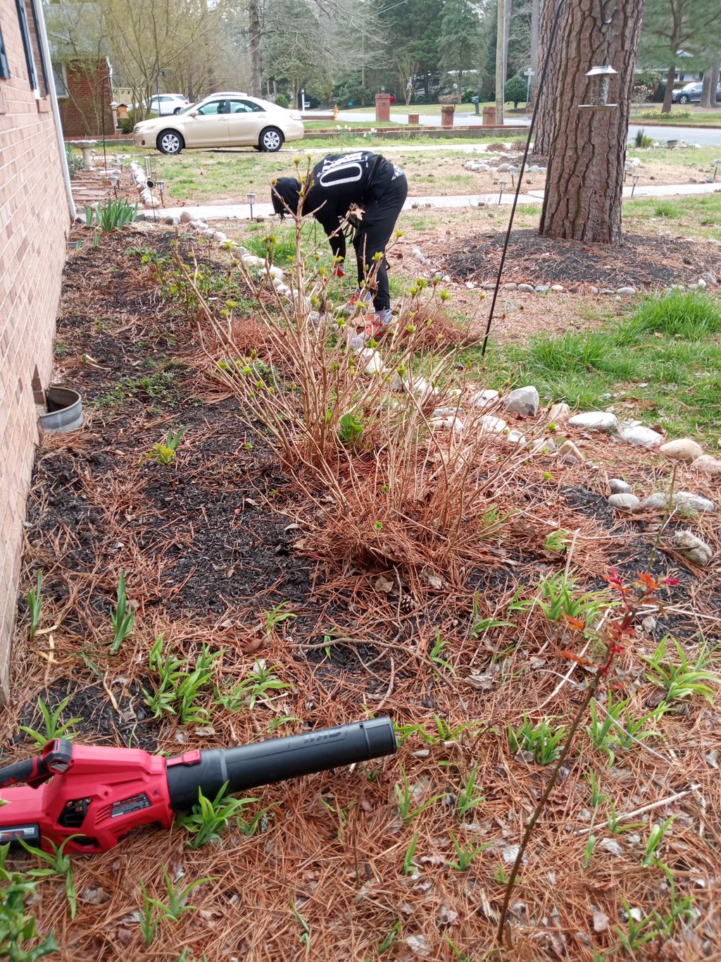 Full Service Lawn Care