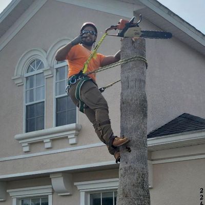 Avatar for Justin Time Tree Service