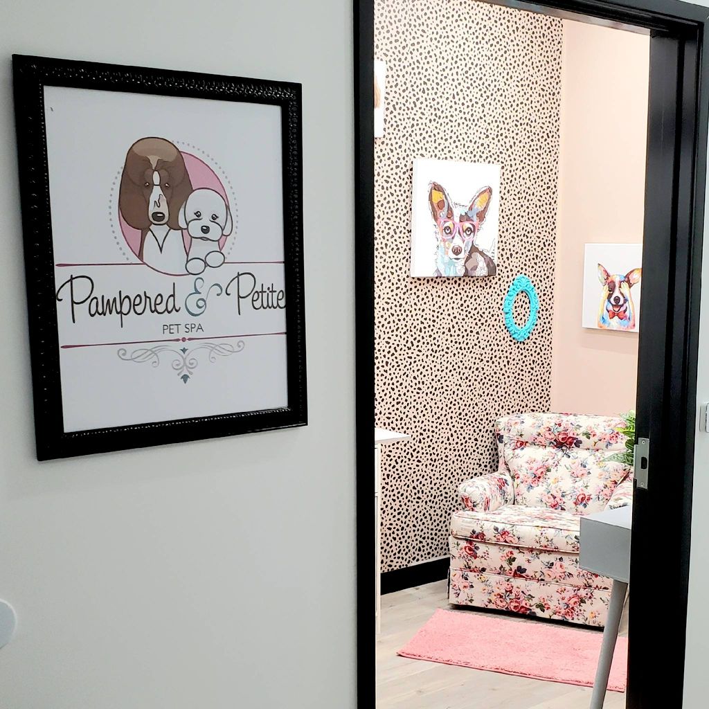 Pampered and Petite Pet Spa