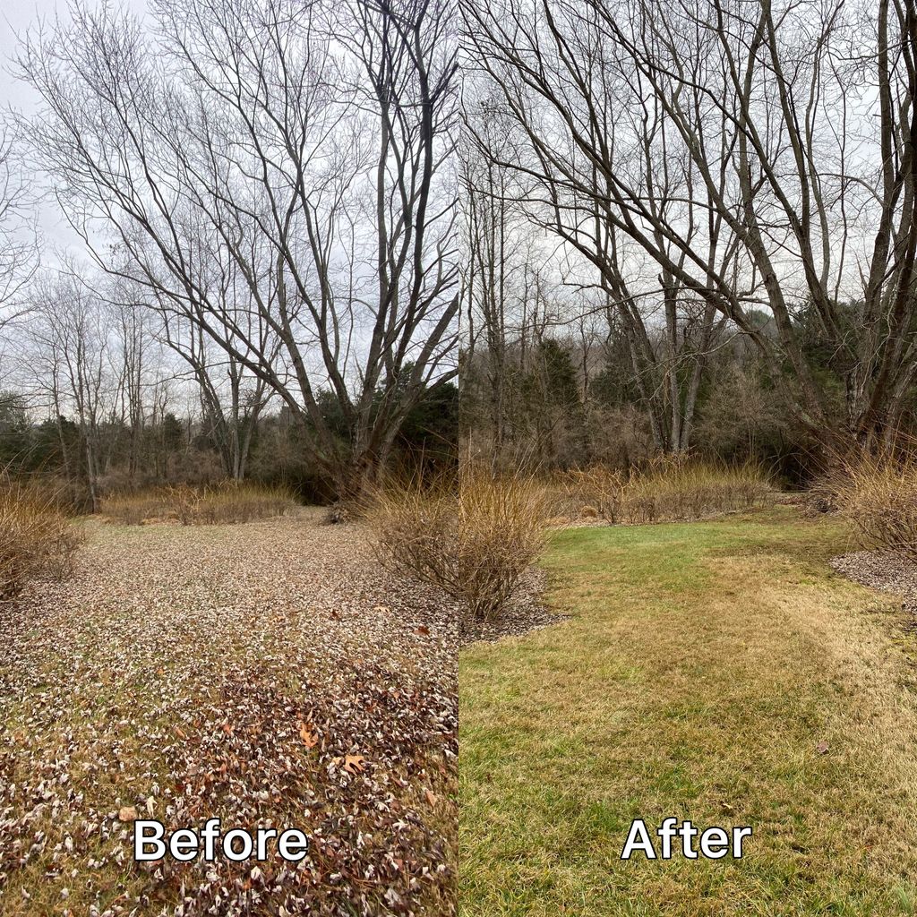 Leave Raking