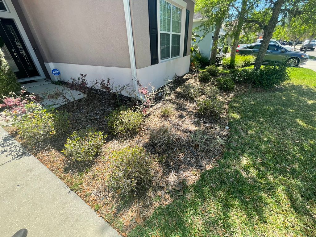 BEFORE PHOTO OF FLOWERBED AND NEW MULCH 