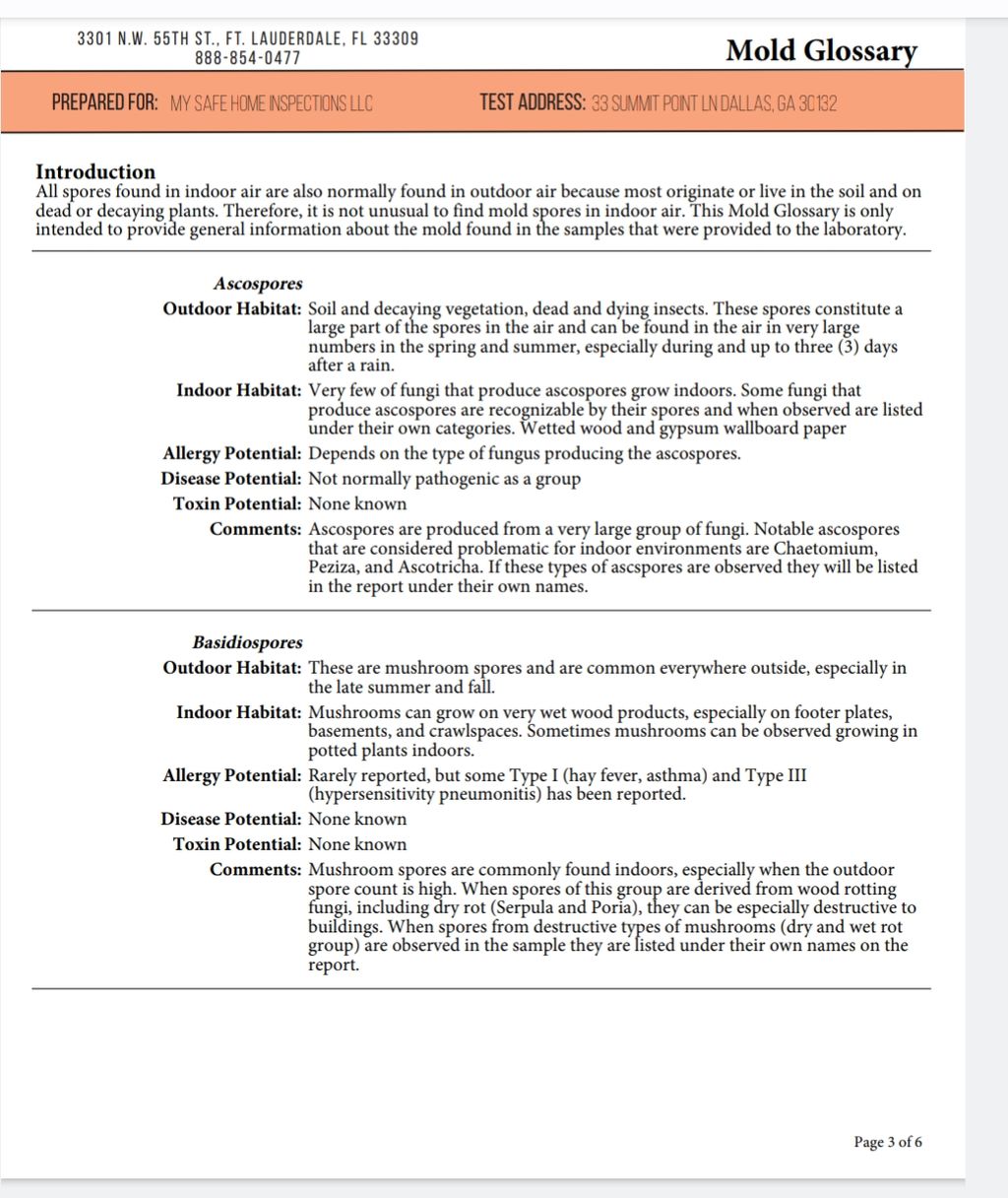 Mold Report 