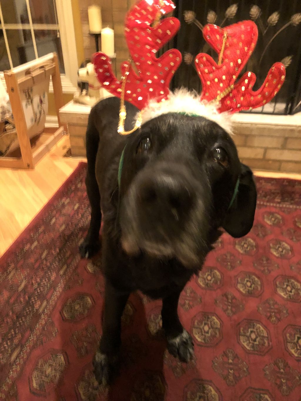 Sam