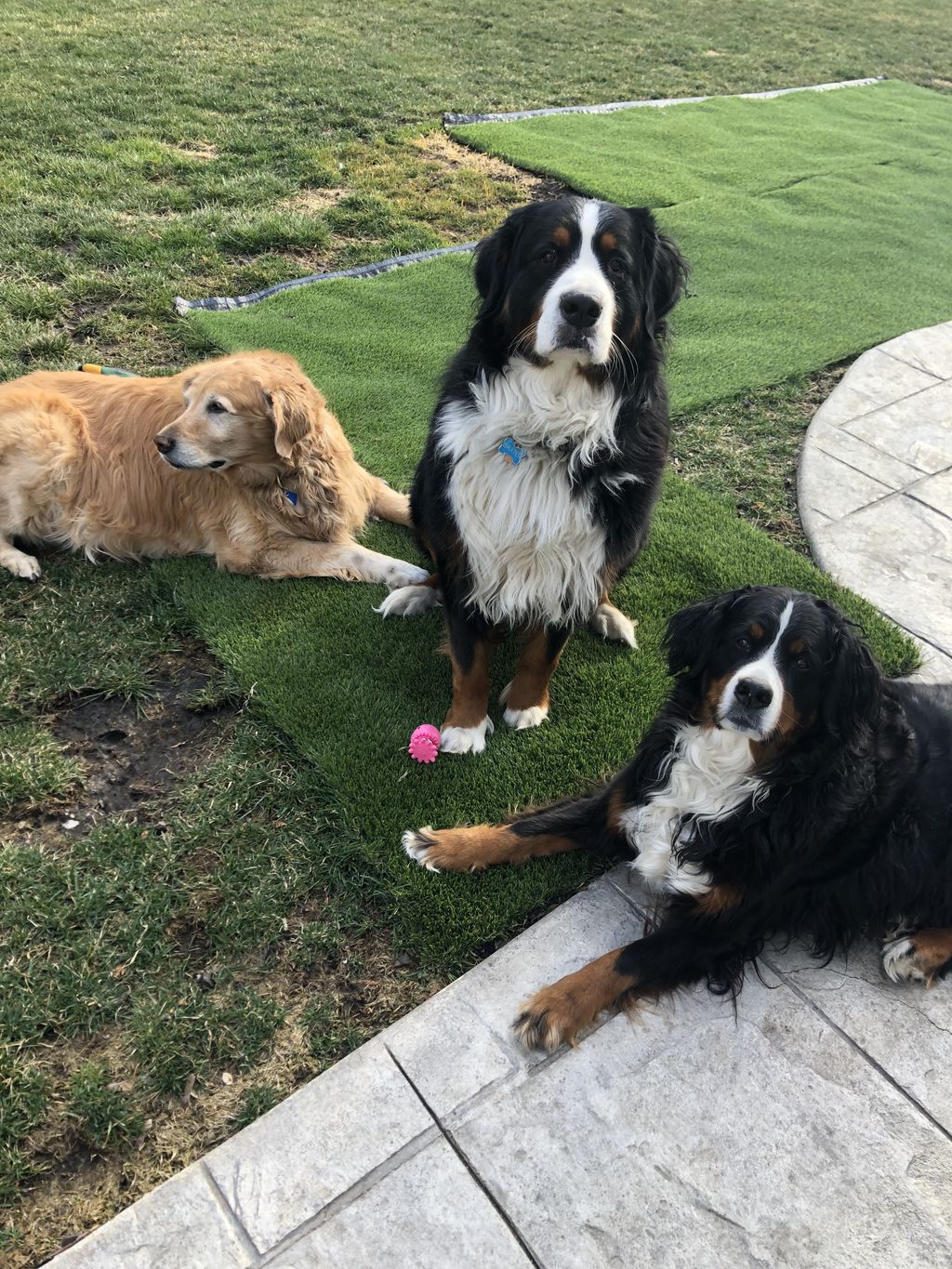 Bella Bax and Brooke