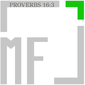 Avatar for Magnum Fence