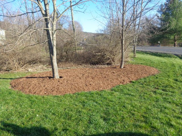 Customer mulch around tree bed