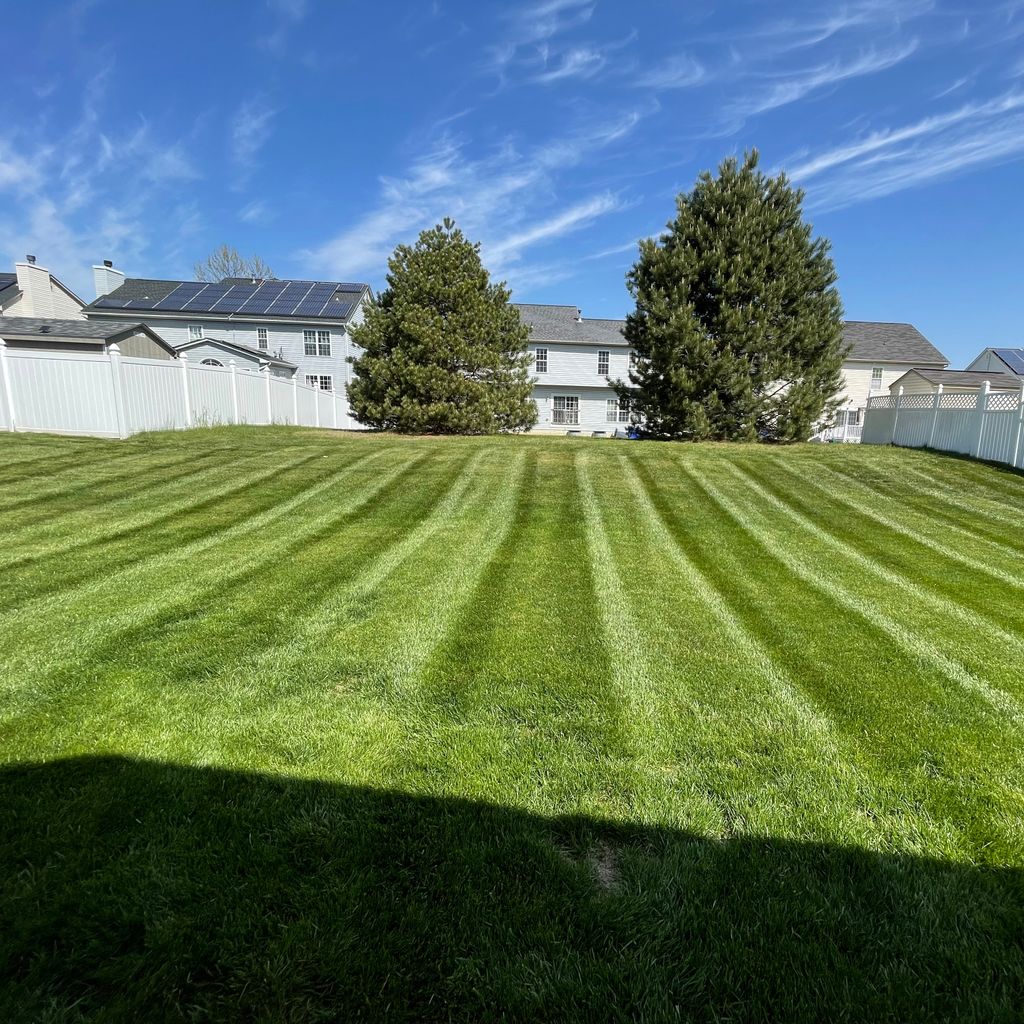 TrueView landscaping
