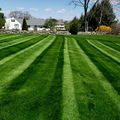 Avatar for Greenbridge lawn care
