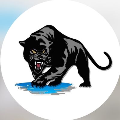 Avatar for Black Panther Solution’s