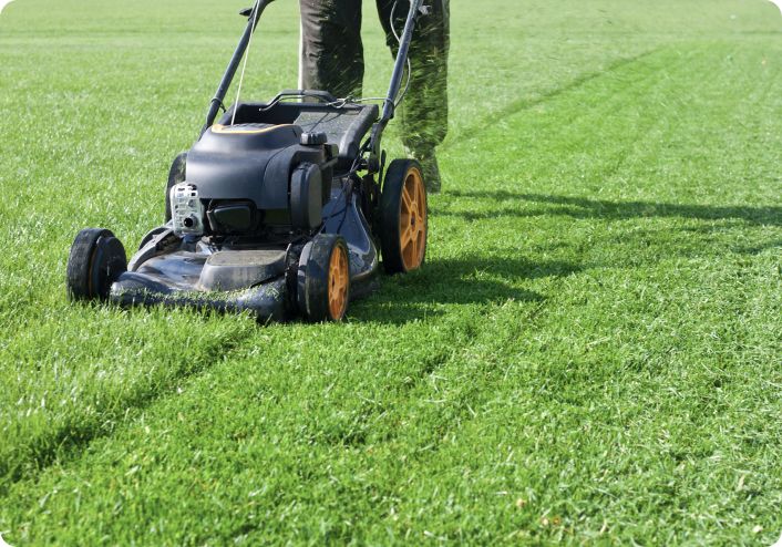 Lawn Care