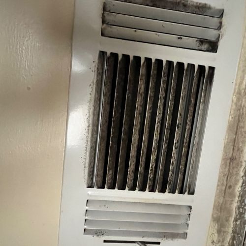Had an ongoing issue with mold coming back up ever