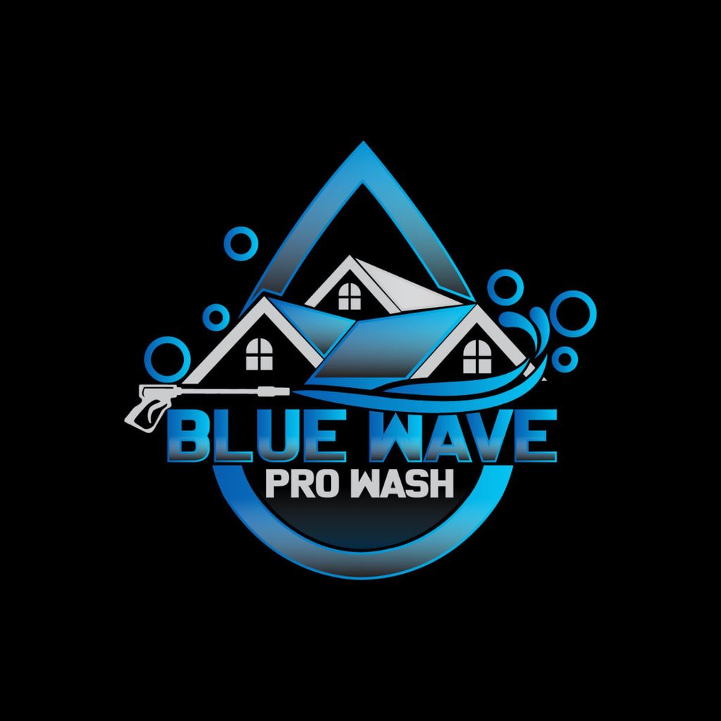 Blue Wave Pro Wash