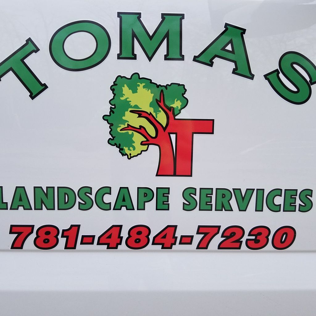 Tomas Landscape services