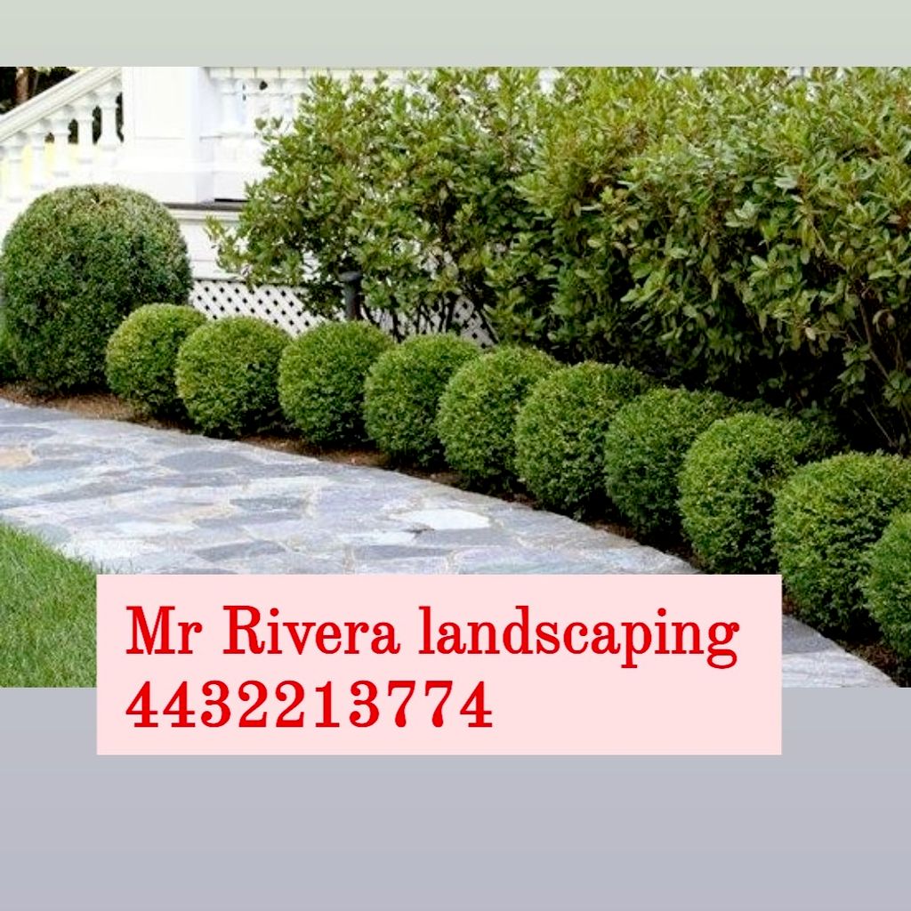 MrRivera landscaping