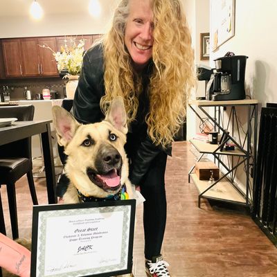 Avatar for Down 4 Paws Training Academy