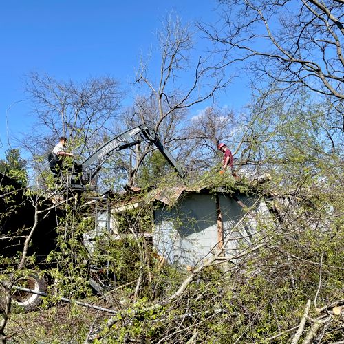 Tree Trimming and Removal