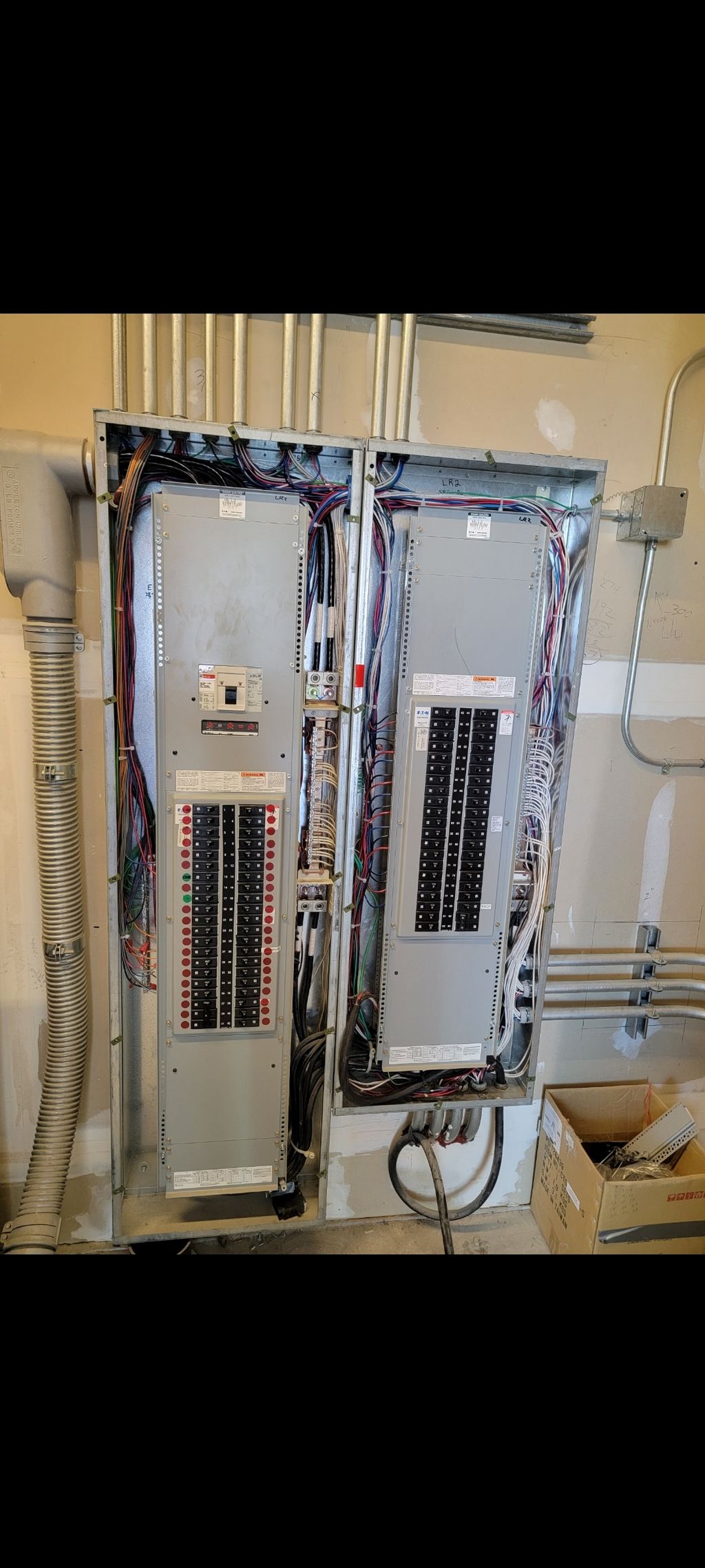 Projects and media