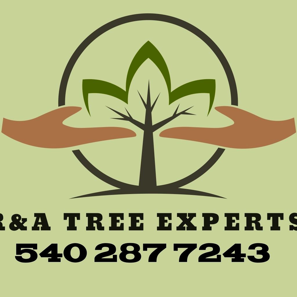 R&A TREE EXPERTS INC