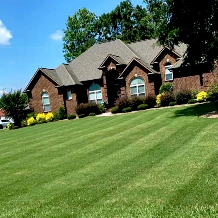 Ace Landscape