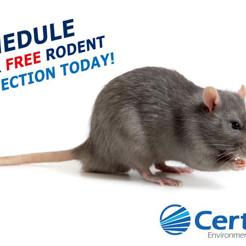 Free Rodent Surveys
