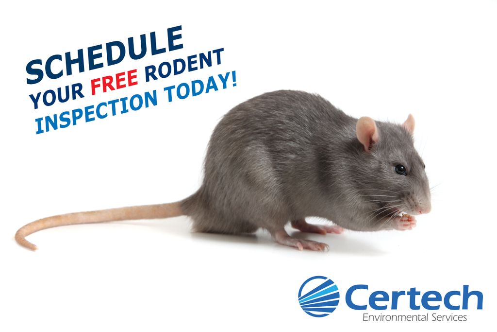 Free Rodent Surveys