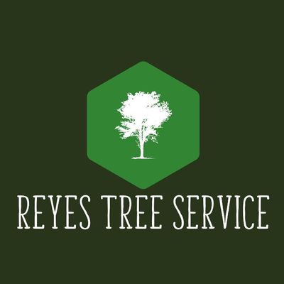 Avatar for Reyes Tree Service & Stump Grinding