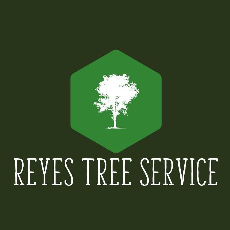 Reyes Tree Service & Stump Grinding