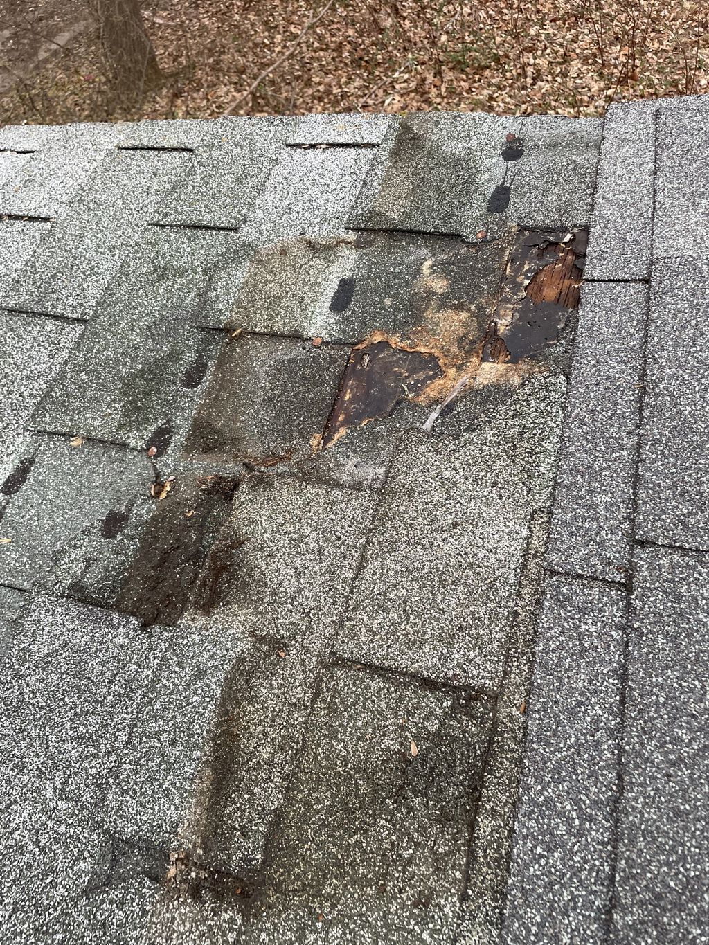 Roof Repair or Maintenance