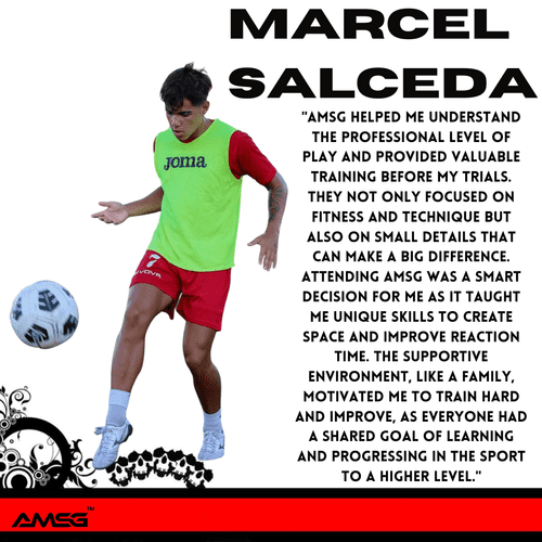 Marcel - PRO 