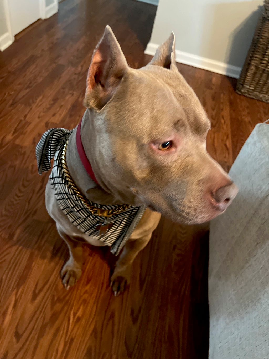 Customer photos