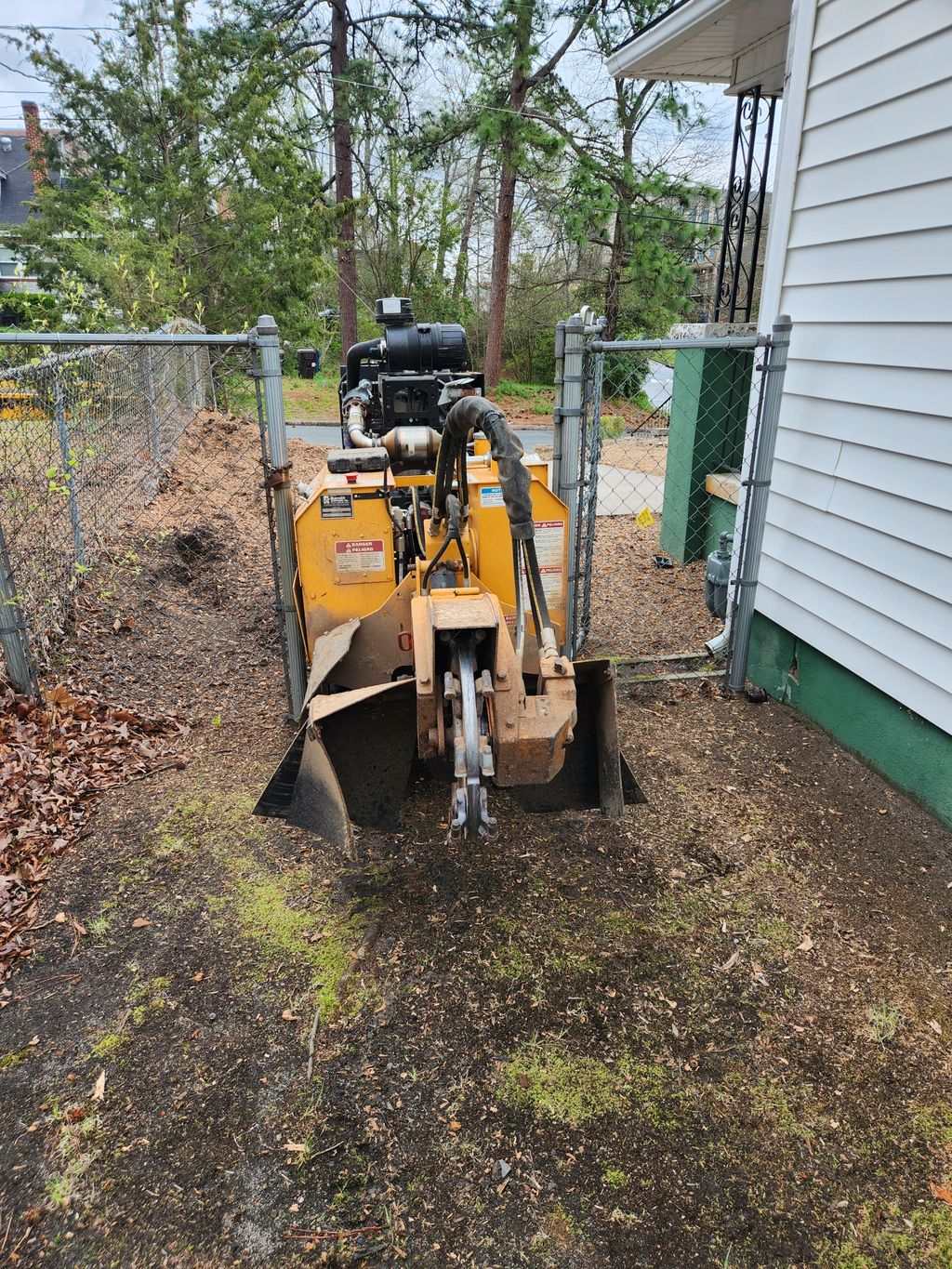 Tree Stump Grinding and Removal