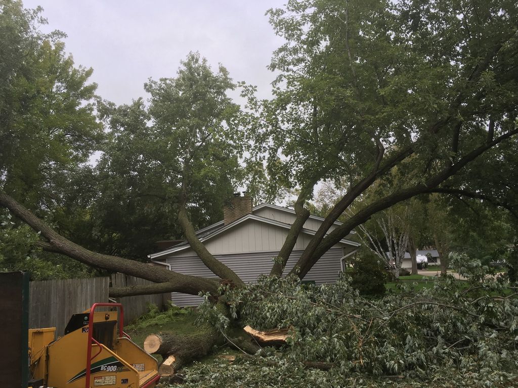 Storm damage- no problem