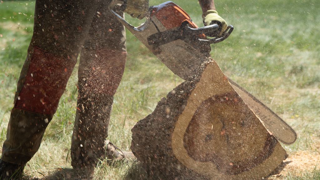 Cutting logs for firewood- sure!