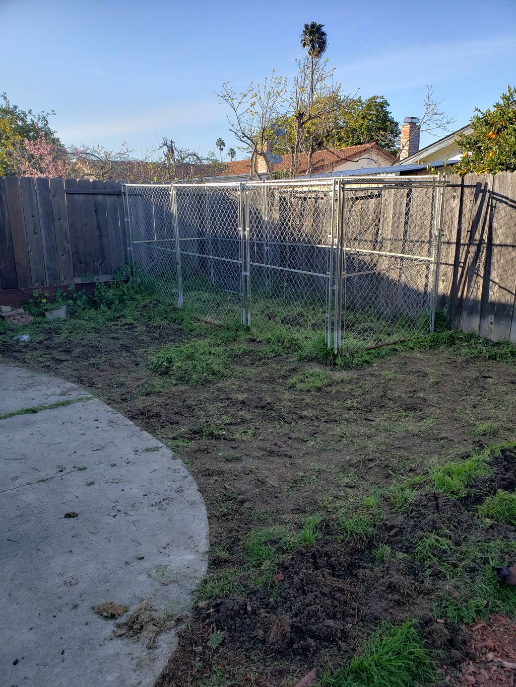 Projects and media