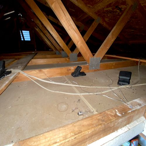 Rodent trapping in the attic 