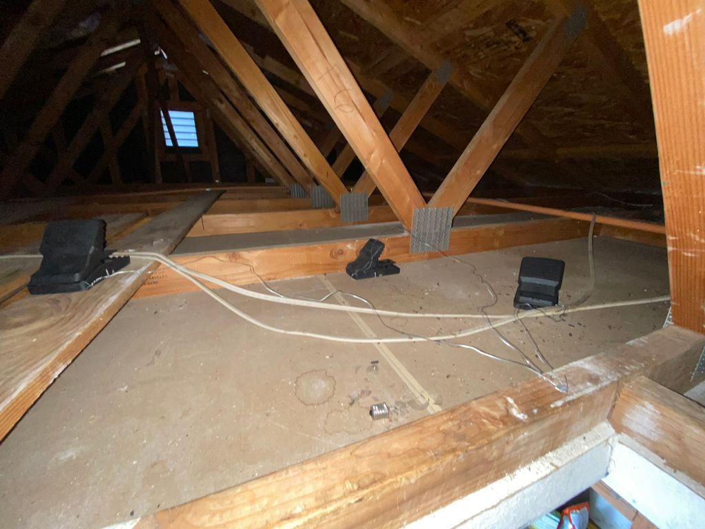 Rodent trapping in the attic 