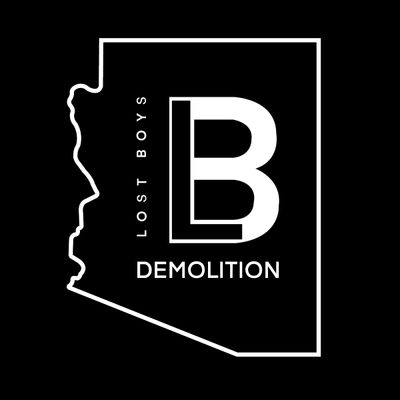 Avatar for Lost Boys Demolition AZ