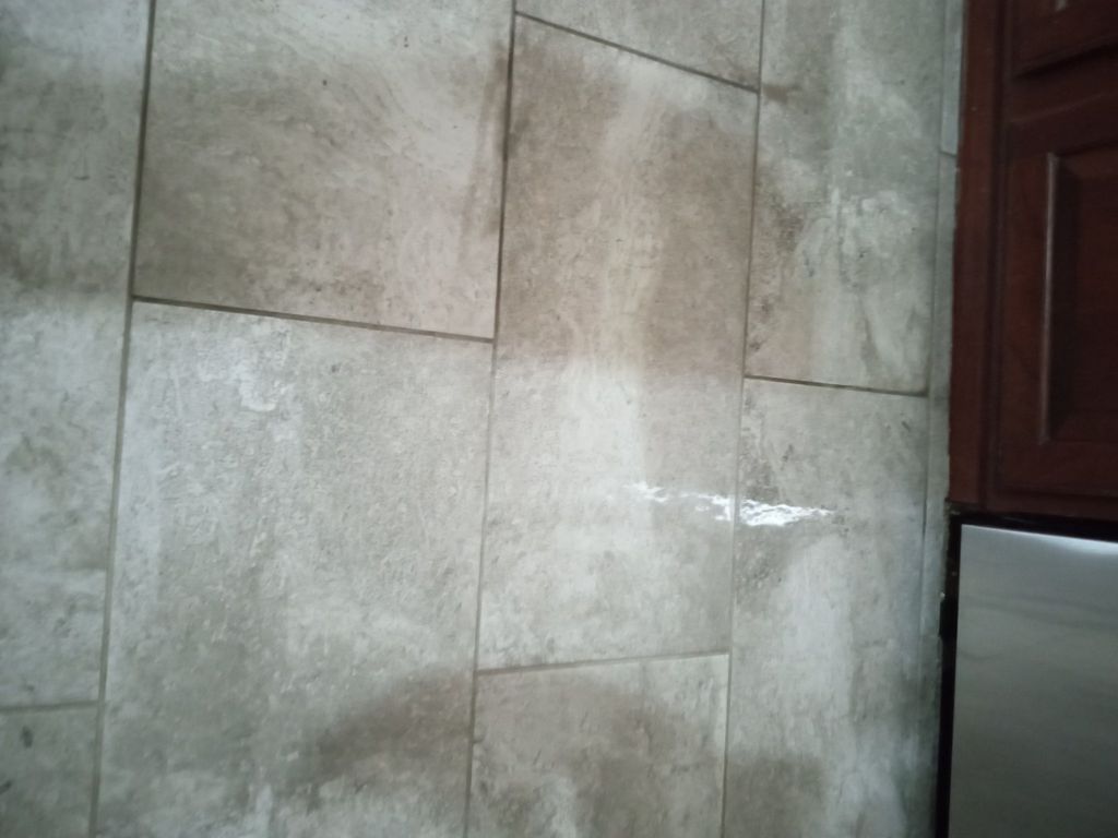 Bujar came and cleaned my carpet and my tile today