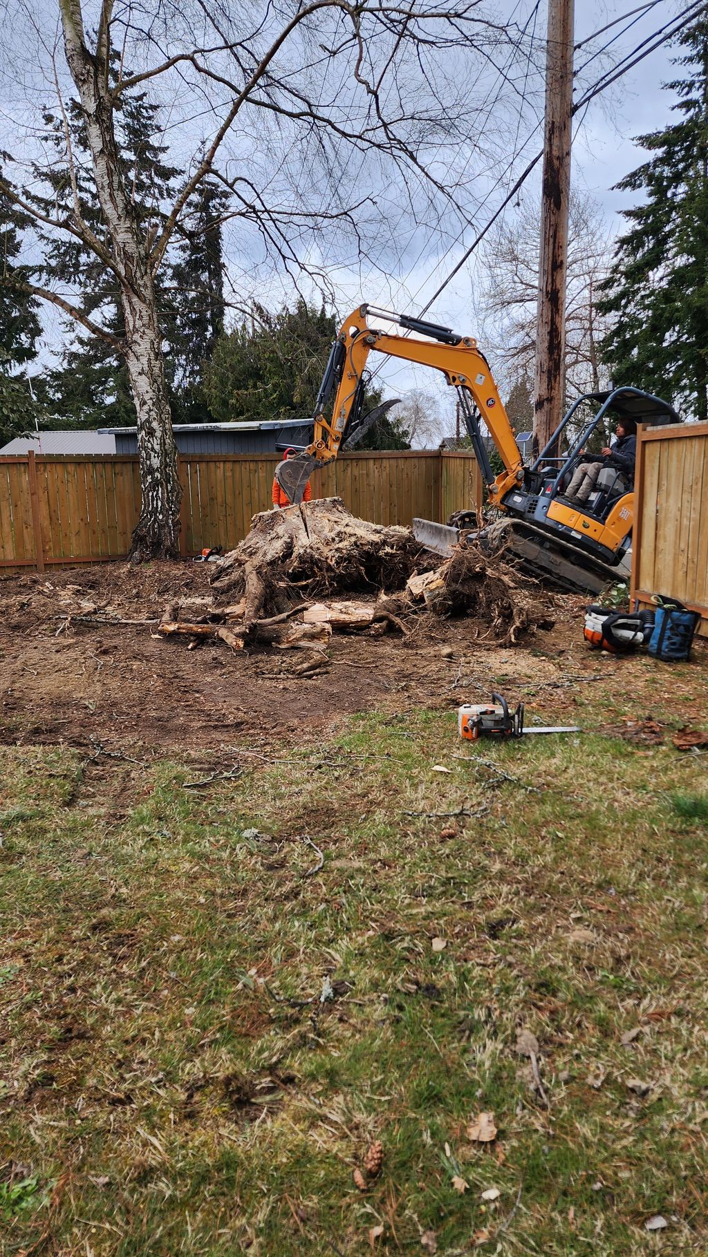 Stump Removal