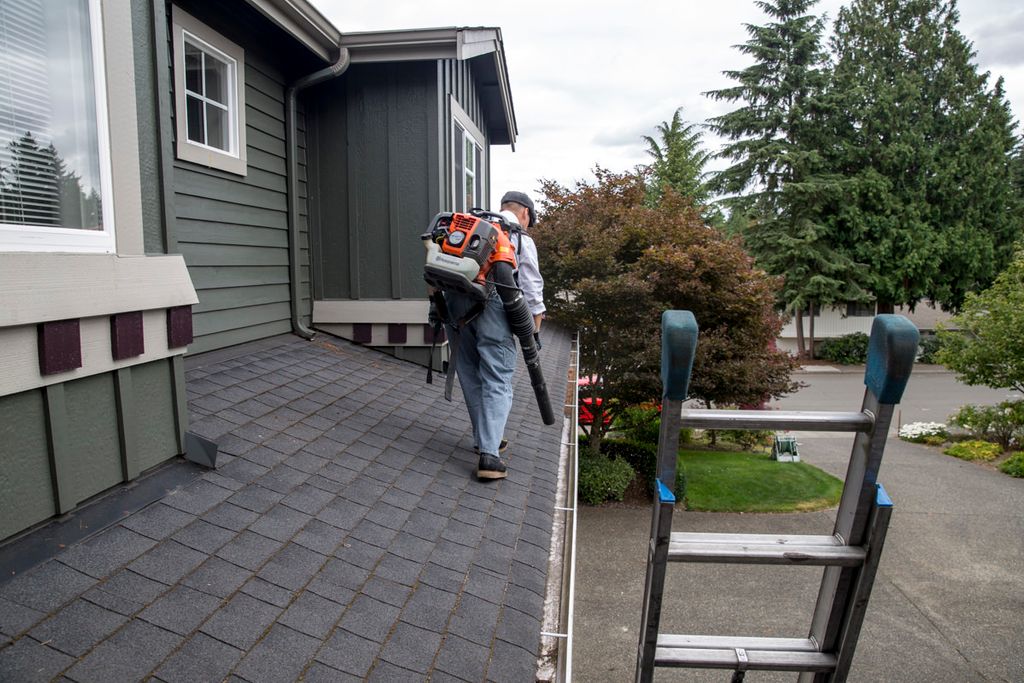 Gutter Cleaning 