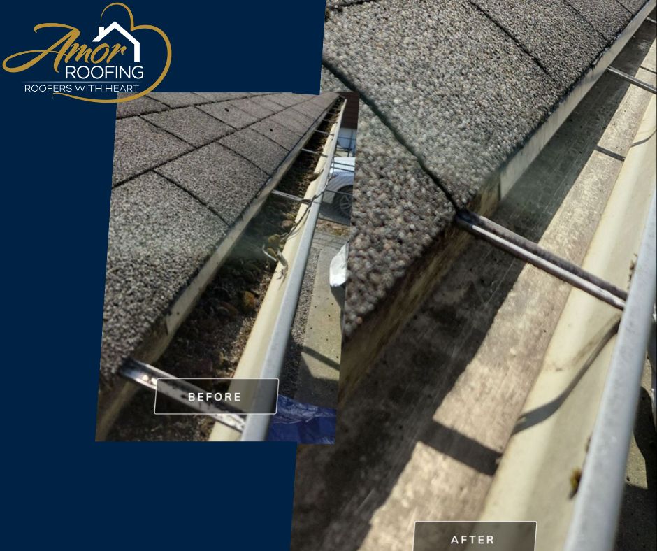 Expert Gutter Cleaning Services