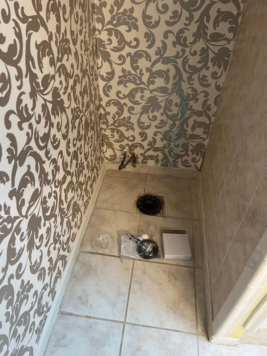 Took out the old Toilet 