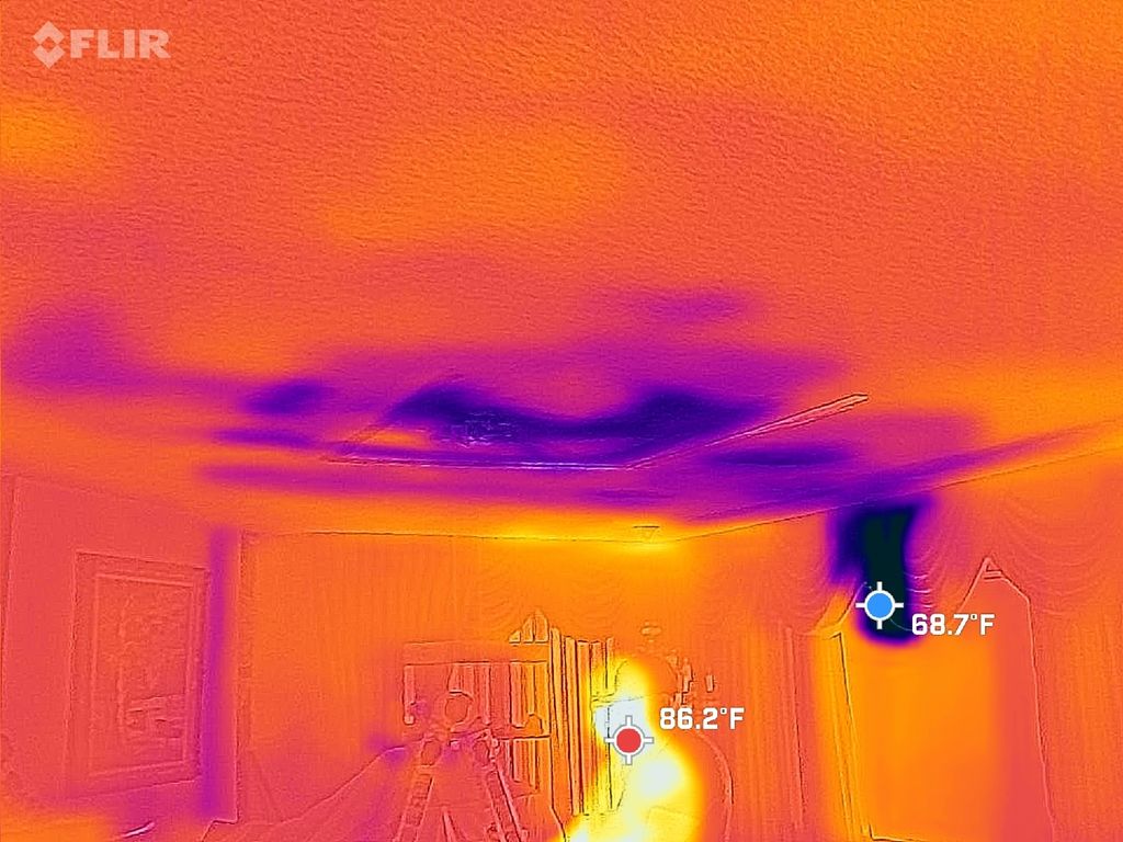 Thermal camera images. Water damage due to bursted