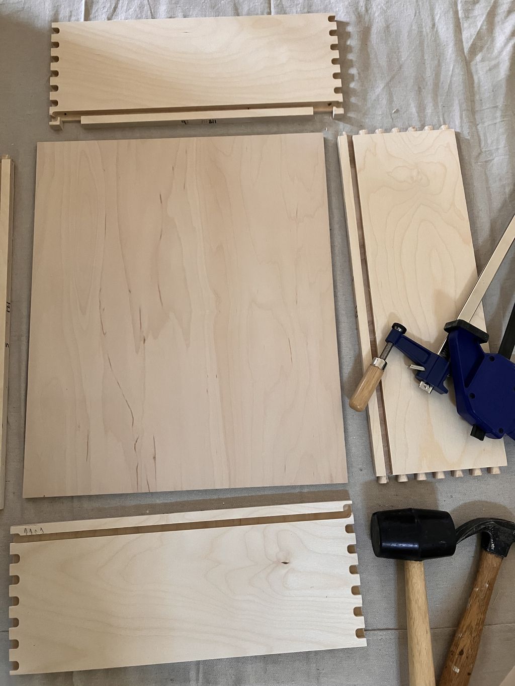 Projects and media