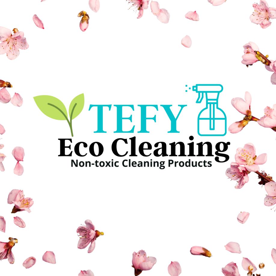 TEFY  ECO CLEANING