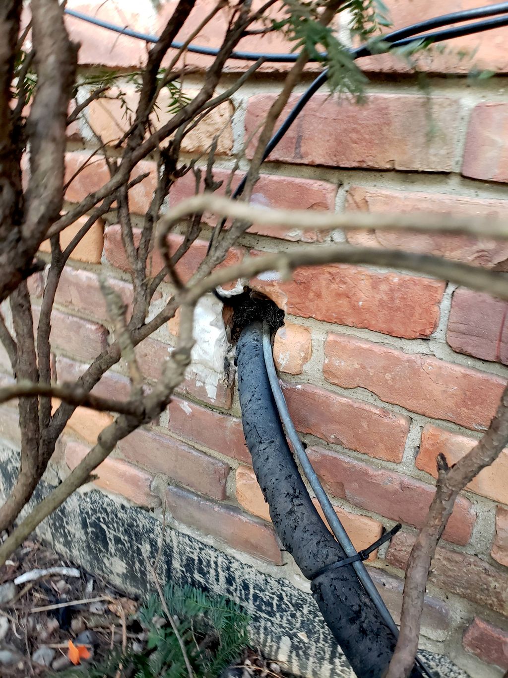 One of the most common rodent entry way.