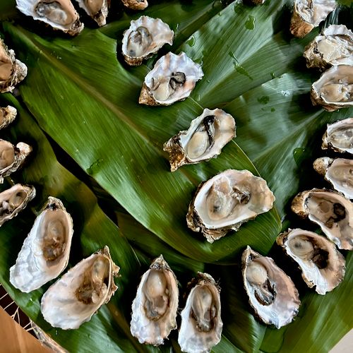 Hama Hama oysters served up by Chef Josh Andrews. 